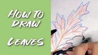Episode 14: How to draw LEAVES