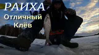 Раиха Отличный Клёв Плотва и Окунь