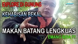 KEHABISAN BEKAL DI GUNUNG, MAKAN BATANG LENGKUAS, BISA ?