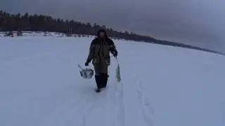 Ловля на жерлицы   часть 2 ....