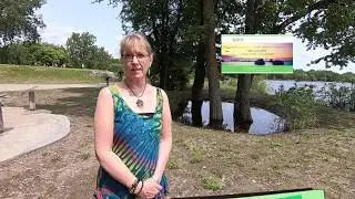 Janis Weaver -- Testimonial for David Gilbert of EcoSys Wellness Center