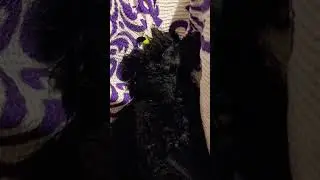 А мне все равно🐕🚀🚀