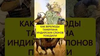 Верблюды против слонов. Смекалка жестокого Тамерлана 