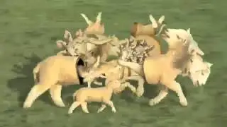 Овечковый психодел.