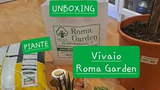 Unboxing Piante Plants Vivaio Roma Garden. Cocos Nocifera (palma da cocco), Sanseveria, Dionea, Hoya