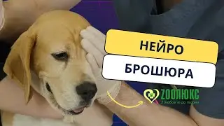 Перевірка рефлексів і реакцій на неврологічному прийомі