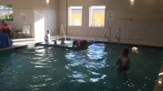 Shelly the seal