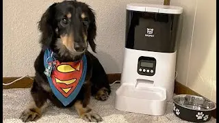 WOPET Automatic Dog & Cat Feeder Unboxing & Review!