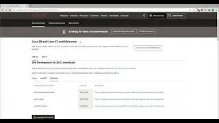 How to Install the Java JDK 11 in Windows 11  - part 1