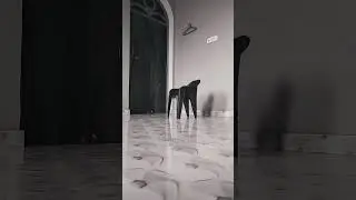 Haunted house?  या आंखों का धोखा👻