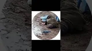 #рекомендации