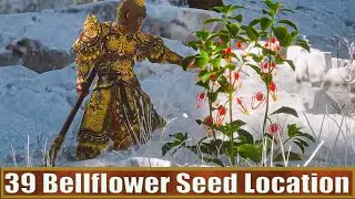 All 39 Fire Bellflower Seed Route Location Guide: Black Myth Wukong