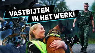 Meer weten over de honden bij Defensie? | Military Dogs | Trailer