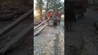 Load official teak wood in Indonesia 8 #woodworking #russia #america #india #korea #china