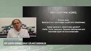 Prof Saraçoğlu Anlatıyor