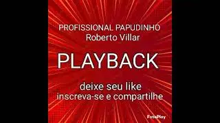 PROFISSIONAL PAPUDINHO , PLAYBACK, ROBERTO  VILLAR