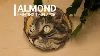 Timeplase of Almond The Cat