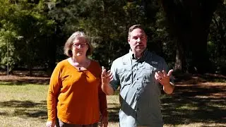 Get It Growing: It's Important to Water Your Trees Throughout the Year