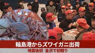 輪島港からズワイガニ出荷 地震後初、金沢で初競り