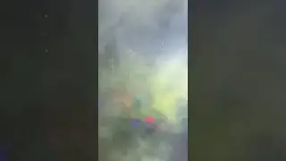 #нурминский