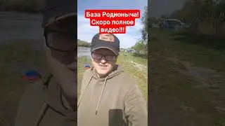 ОБЫЧНЫЙ СТАВОК