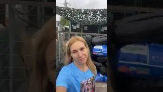 Спасибо Вам огромное! Ваша помощь бесценна. 