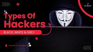 Unmasking the Mystery: Exploring Different Types of Hackers | MSP WEBCRAFT