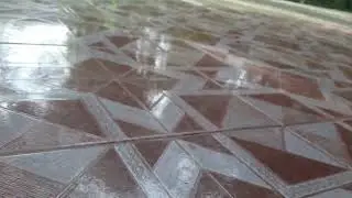 Big bug