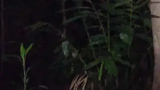 🔴LIVE MISTERI MALAM INI || MALAM MINGGU