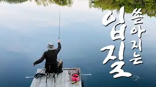 은퇴 후 낚시 차박 여행 | 너무 나와서 붕어낚시 장르 변경 | 낚아서 먹는 술 안주