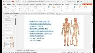Активаторклеток. Работа по меридианам.