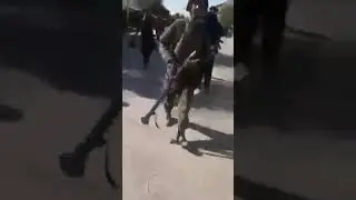 تسلیم شدن پلیس و اردوی ملی به طالبان در تالقان