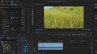 How to Remove a Watermark/Logo of Video in Premiere Pro