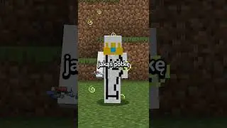 JAK WIDZĄ MOBY