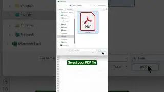 How to import PDF into Excel! 