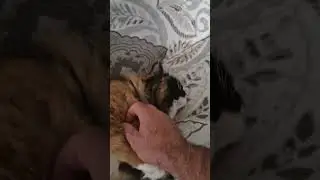 дуняша вот так отддыхает