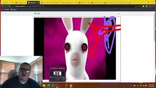 RABBIDS.EXE HAS RETURNED.....