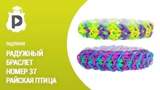 Радужки - браслет номер 37. Райская птица