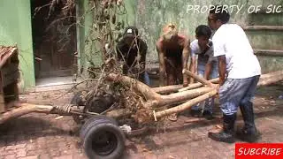 Vespa Paling Ektreme Batang Kayu #BUSI #1