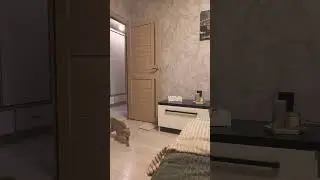 1 сентября 2024 г.