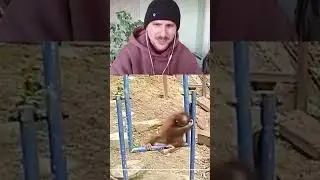 ЮНИ жалко ОБЕЗЬЯНКУ