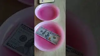 How to get rid of mold on dollar bills