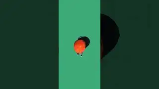 Green screen animation cartoon copywrite free 💚🍏💚🍏#cartoon #cartoons#short #shorts#funny