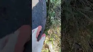 Повезло так повезло!