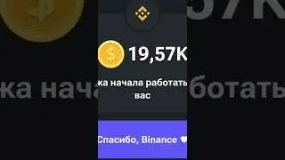 HAMSTER COMBAT МАЙНИНГ + ТАП БОТ. ПОДРОБНОСТИ В ТГ BTCMANAGER2020 ✅
