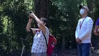 Birdwatching com Trip Rural e Tumura Turismo e Eventos, no Parque Natural do Trabiju