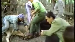 Çukur Mahallesi (Köyü) 1982