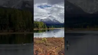 Алтайская осень 
