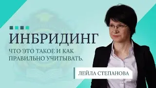 ИНБРИДИНГ: что это такое и как правильно учитывать