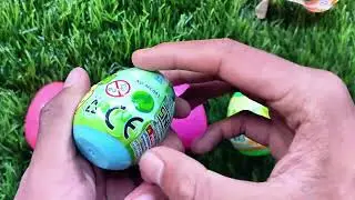 Which Mystery Egg Will You Open? Amazing Secret Surprise Inside